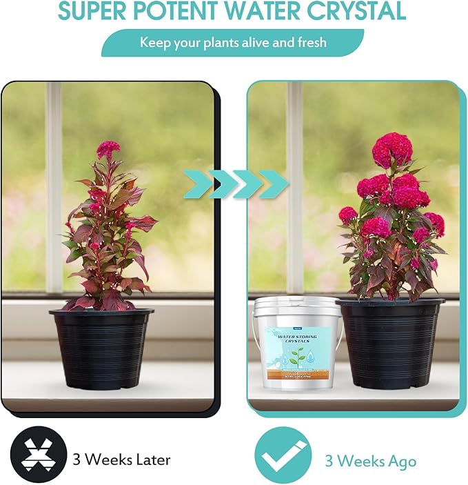 5LB Water Storing Crystals for Plants with Spoon, Water Gel Solves Plant Over-Watering and Drought Problems, Keeps The Soil Moist, Small Water Storing Polymer Crystals for Plants Candle