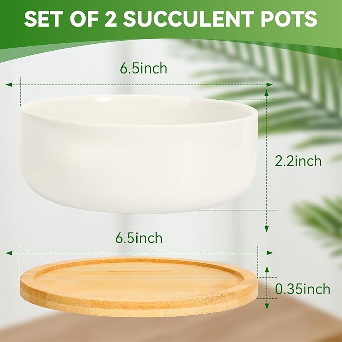 ZOUTOG Plant Pot 6 Inch, Ceramic Succulent Pots for Flower with Drainage Hole & Bamboo Tray, Higher White Round Pack of 2 with Home, Office, Indoor or Outdoor Decor - Plants Not Included