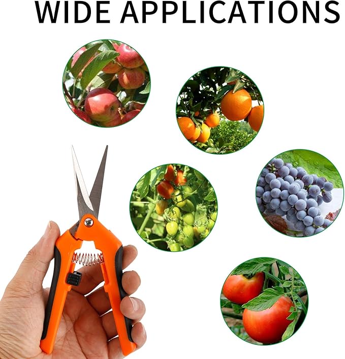 YaeCCC 12-Pack 6.5 Inch Gardening Hand Pruner Pruning Shear with Stainless Steel Blades