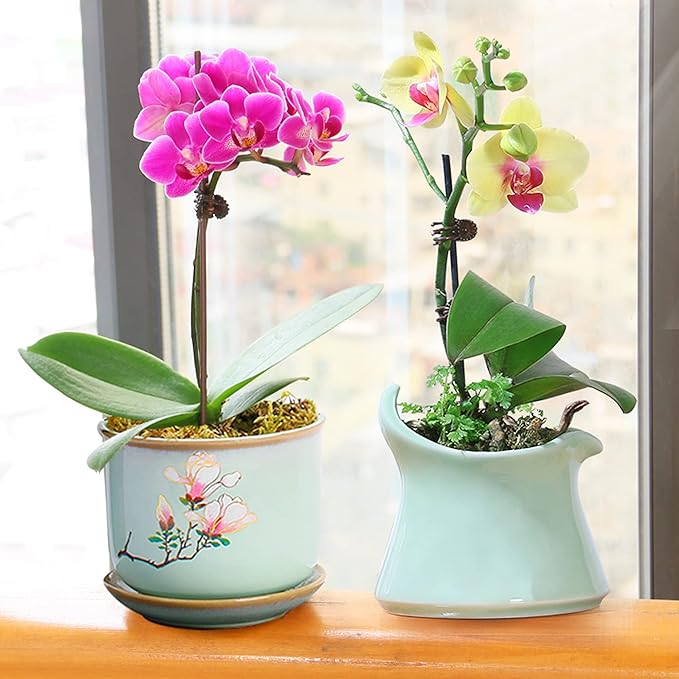 Sphagnum Moss 1.1lb Long Fiber Dried Forest Moss for Orchid Moss Potting Mix, Natural Plant Moss for Carnivorous Plants, Succulent, Reptile