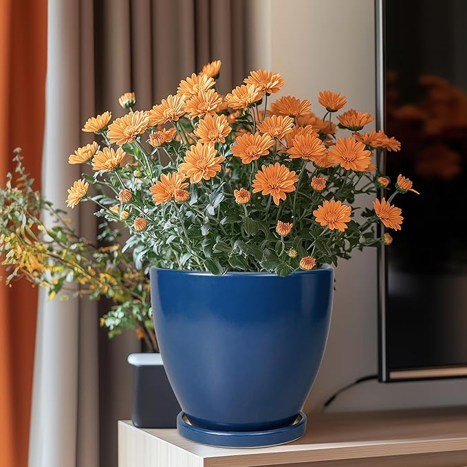 Ceramic Plant Pot - 8 Inch Planter for Indoor Outdoor Plants, Round Flower Pots with Drainage and Tray, Home Office Decor, Blue