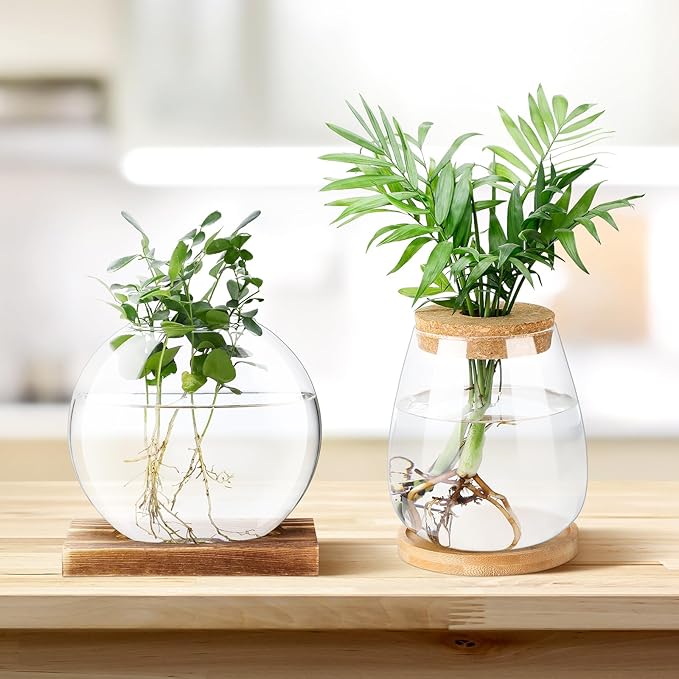 Layhit 4 Pcs Plants Propagation Stations Separated Desktop Plant Terrarium Glass Planter Vase with Wooden Lid and Bamboo Stand for Growing Hydroponic Home Office Tabletop Decoration (Cute Style)