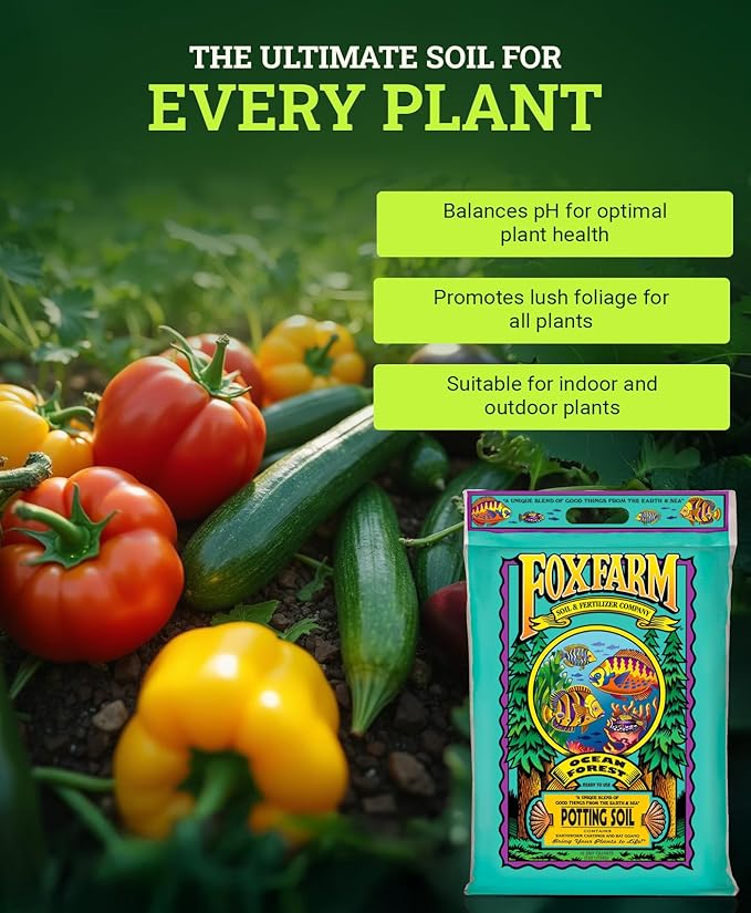 FoxFarm Ocean Forest Potting Soil, 12qt – Light, Aerated Texture, Designed for All Container Plants – pH Adjusted for Optimal Nutrient Uptake, Effectively Retains Moisture (12 Quart (4 Pack))