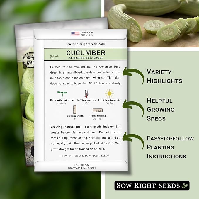 Sow Right Seeds - Armenian Pale Green Cucumber Seeds for Planting - Non-GMO Heirloom Packet with Instructions to Plant and Grow a Home Vegetable Garden - Yard Long Variety for Outdoors (4)