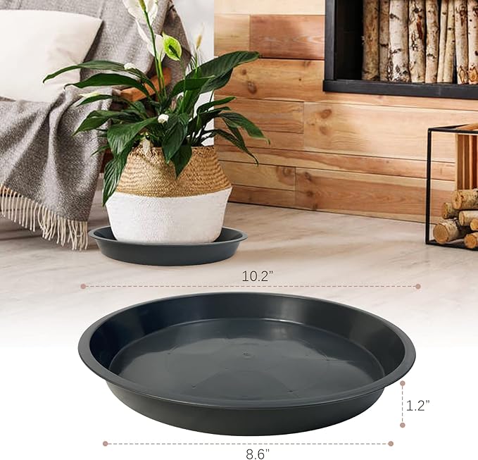 6 Pack Plant Saucer 4 6 8 10 12 14 16 18 20 22 Inch Plastic Plant Tray, Sturdy and Durable Flower Pot Container Accessories Plant Pot Saucers for Indoor and Outdoor (10 Inch, Gray)