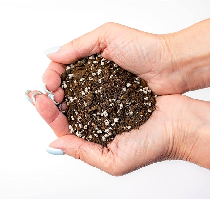 Premium House Plant and Tropical Plant Potting Soil - Re-Potting Soil for All Types of Indoor House Plants - 3 Quart