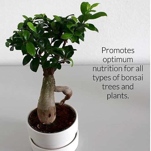 Professional Liquid Bonsai Plant Fertilizer | 3-1-2 Concentrate for Bonsai Plants and Trees | Multi-Purpose Blend & Gardening Supplies | 8 oz Bottle