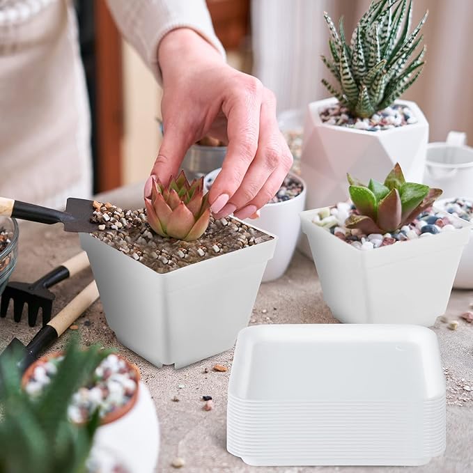 100 Pieces 4 Inch Flower Pots Square Plants Nursery Pot Plastic Plant Seedling Pots Nursery Transplanting Planter Container with Saucer for Indoor Herbs Succulents Balcony Garden Office (White)