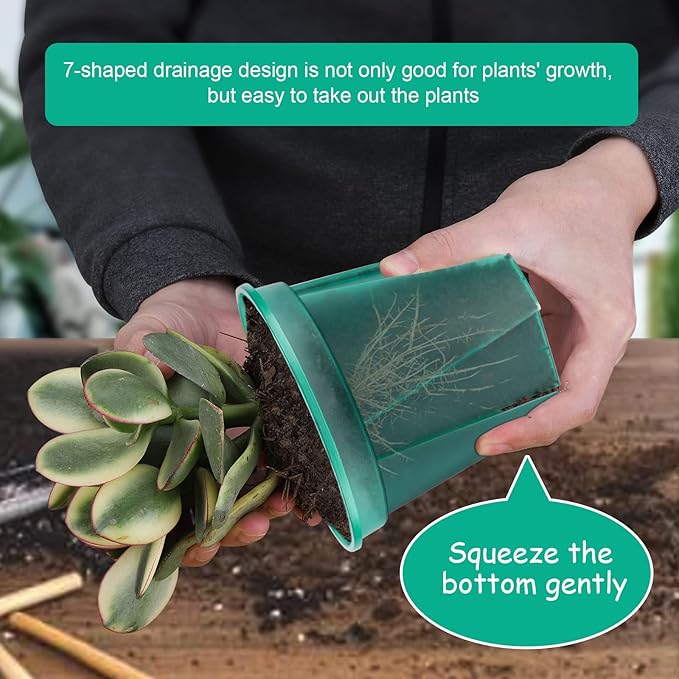 GREENPARA Green Transparent Plastic Planter 4/5 /6 inch Plant Nursery Pots with Drainage Hole Indoor Modern Decorative Containers for Plants with 10pcs Plant Labels, 12pcs