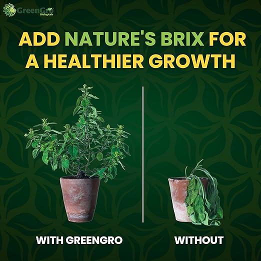 GreenGro Nature’s Brix 0-0-2, Premium Plant Microbe Food for All Gardening Methods, Increases Brix Levels and Resin Production (2 lb)