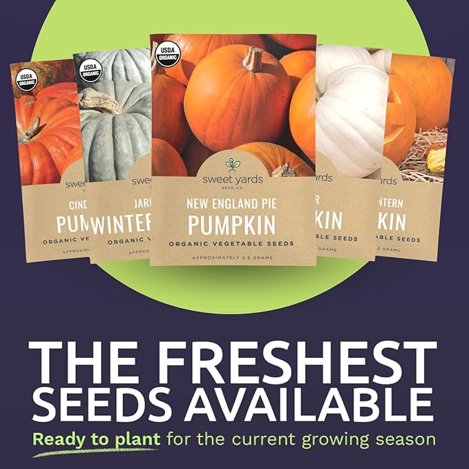 Organic Pumpkin Seeds Variety Pack - 6 Individual Packs - 2025 Season - Jack O' Lantern, Cinderella, Big Max and More! for Indoor & Outdoor Planting (Non-GMO, Certified Organic)