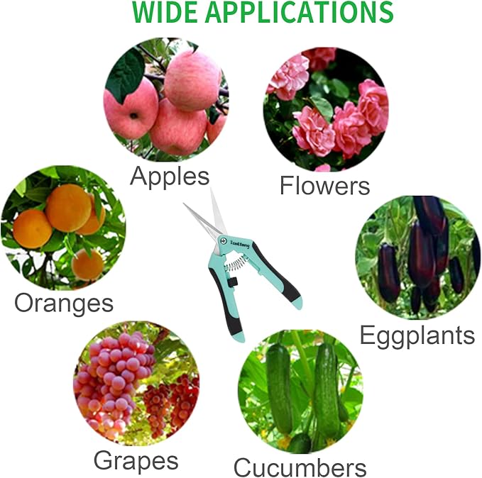 1 Pack Pruning Shears, Garden Trimming Scissors, Gardening Hand Pruning Snips, Titanium Coated Precision Bonsai Pruning Shears, Convenient and Efficient Flower Cutters (Blue)