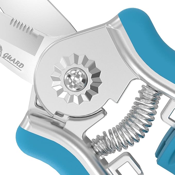 FLORA GUARD 6.5 Inch Micro-Tip Pruning snip Gardening Hand Pruning Shears Trimming Scissors with Stainless Steel（Blue）