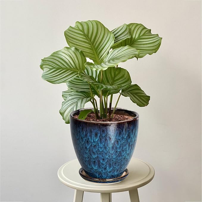 Ceramic Plant Pot, 6 Inch Ceramic Planter Pot with Drainage Hole and Saucer, Succulent Round Flower Pot for Indoor Plants Outdoor, Blue