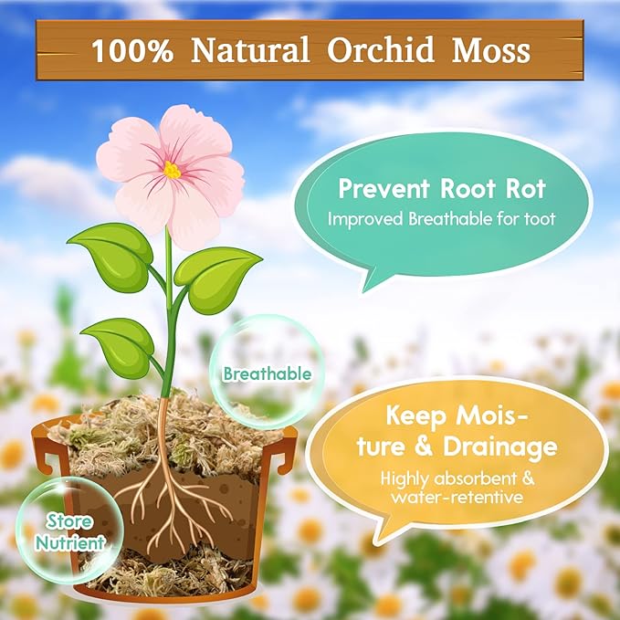 Riare 5.3 OZ Premium Sphagnum Moss for Plants- 6QT Natural Long Fiber Sphagnum Peat Moss Dried, Plants Moss Orchid Potting Mix for Orchids Repotting, Carnivorous Succulent Potted Plants and Reptiles