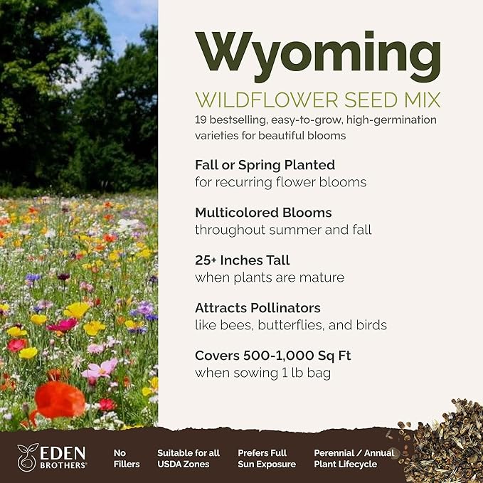 Eden Brothers Wyoming Wildflower Mixed Seeds for Planting, 1 lb, 480,000+ Seeds with Cornflower, Yarrow | Attracts Pollinators, Plant in Spring or Fall, Zones