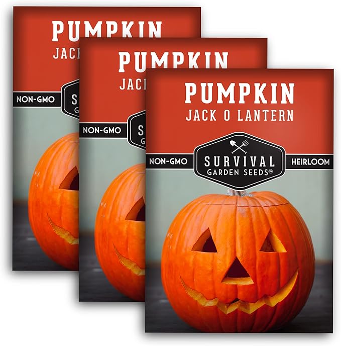 Survival Garden Seeds - Jack-O-Lantern Pumpkin Seed for Planting - 3 Packs with Instructions to Plant and Grow Orange Carving Pumpkins in Your Home Vegetable Garden - Non-GMO Heirloom Variety