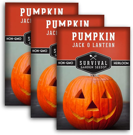Survival Garden Seeds - Jack-O-Lantern Pumpkin Seed for Planting - 3 Packs with Instructions to Plant and Grow Orange Carving Pumpkins in Your Home Vegetable Garden - Non-GMO Heirloom Variety