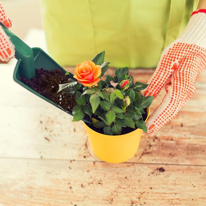 Organic Rose Soil Mix, Indoor Plants Potting Mix for All Potted Rose, Grow Healthy houseplants Indoors