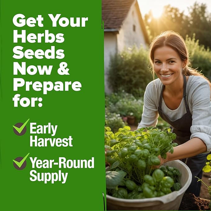 5 Herb Seeds Variety Pack - Culinary Herb Garden: Basil, Lavender, Cilantro, Parsley & Thyme Seeds for Planting Indoors/Outdoors 2000+ Non-GMO Heirloom Herb Seeds w/Bonus Markers & Grow Guide