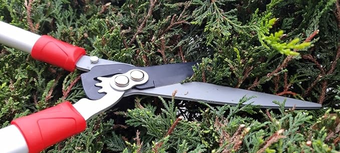 Kimura® Pro Heavy Duty Hedge Shears - Premium Garden Clippers with Patented Gearing Technology, Ultra Lightweight Aluminium Handles, Japanese SK5 Steel Blades, Ideal Shears for Gardening - 22" Trimmer