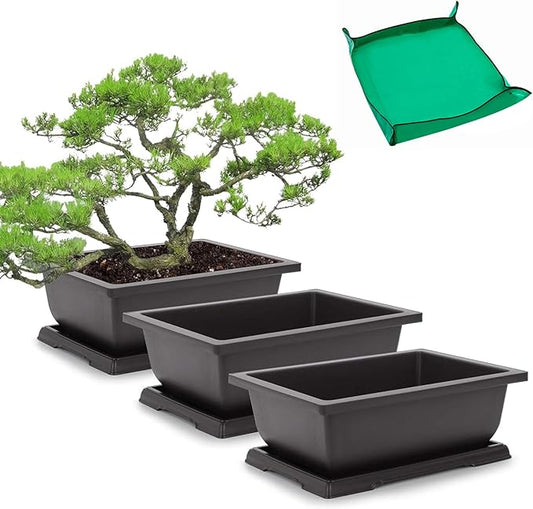 GROWNEER Bonsai Pots 3 Packs 11 Inch Bonsai Training Pot with Humidity Trays and Repotting Mat Tree Starter Kit Growing Planter for Garden Yard Office Indoor Outdoor