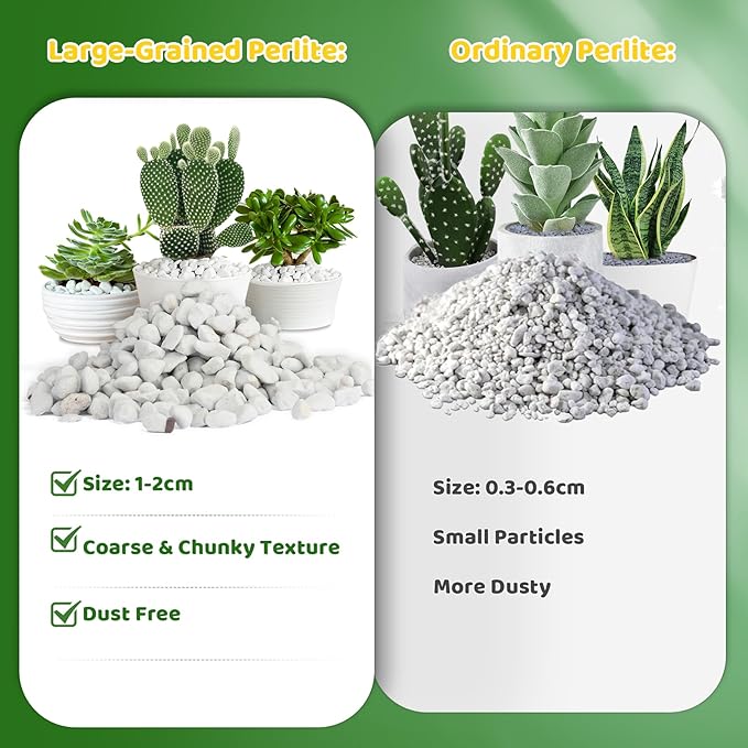 Organic Chunky Perlite for Plants (0.4"-0.8" in Diameter), Natural Horticultural Soil Additive Conditioner Mix, Improve Drainage and Ventilation, Enhance Soil Health and Root Growth (10 Quarts)