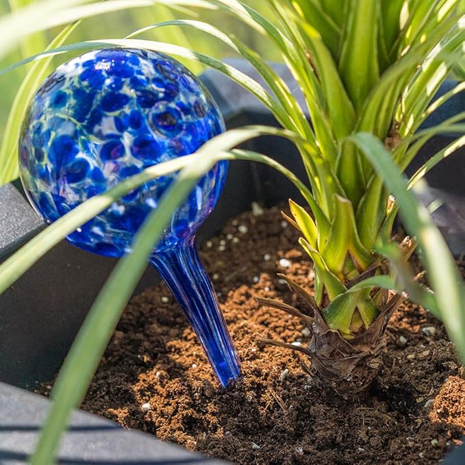 Evelots Plant Watering Globes (6 Pack) - Hand Blown Glass - Automatic Water Irrigation System - Indoor/Outdoor - Leave Your Home Worry Free