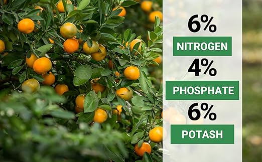 6-4-6 Avocado and Citrus Tree Professional Fertilizer Plant Food for Outdoor/Indoor Gardening; Quick-Release Nitrogen Fertilizer; Orange, Lime, Avocado and Lemon Tree Fertilizer (20 QUARTS)