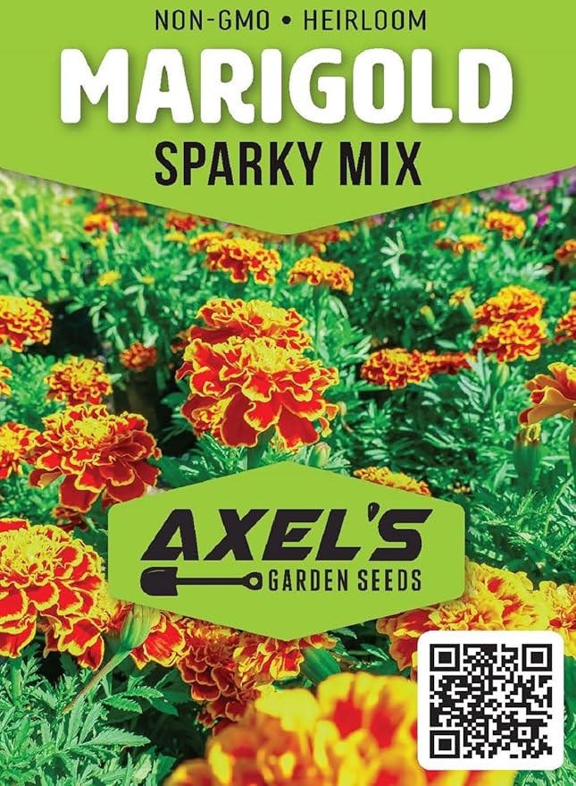 French Marigold Seeds for Planting - Plant & Grow Heirloom French Marigolds in Home Outdoor Garden – Planting Instructions for Vibrant Rare Blooms – Great Gardening Gift, 3 Packets, Orange, Red