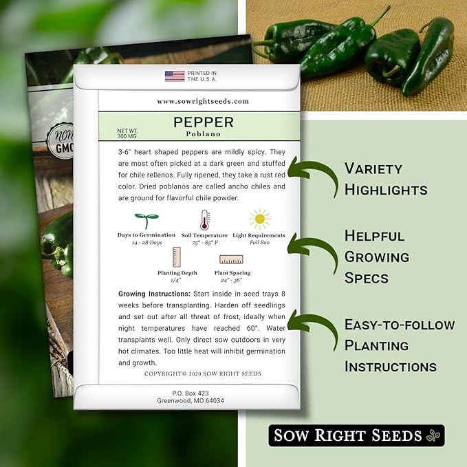 Sow Right Seeds - Poblano Pepper Seeds for Planting - Non-GMO Heirloom Packet with Instructions to Plant a Home Vegetable Garden - Hot Ancho Chile Variety to Grow, Spicy and Abundant (2)