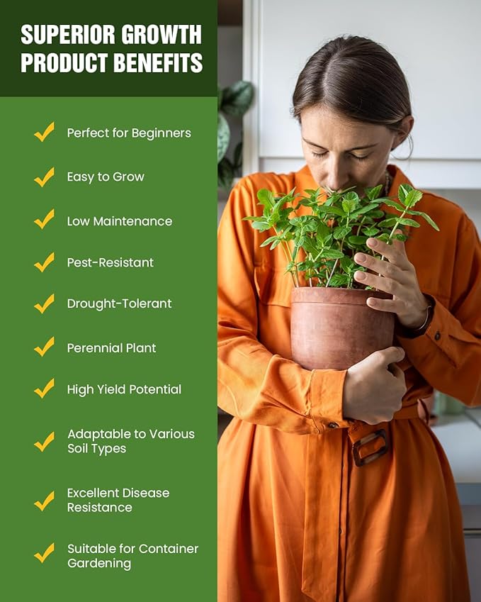 Cat Grass Seeds for Indoor Cats - Plant Catnip and Oat Grass, Heirloom Seed Packet for Indoor Planting Fun