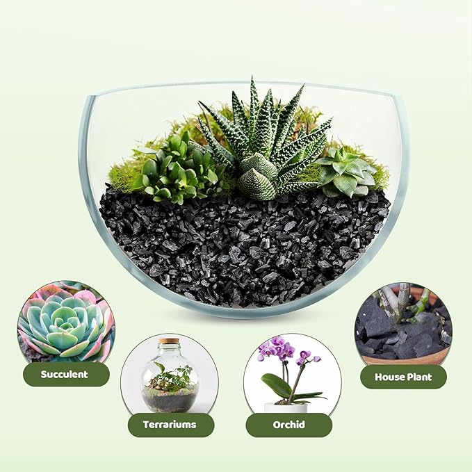 Horticultural Charcoal 4qt for Plants, Actived Charcoal Terrarium Supplies, Suitable for Indoor Plants, Succulent, Orchid, Cactus, Bonsai