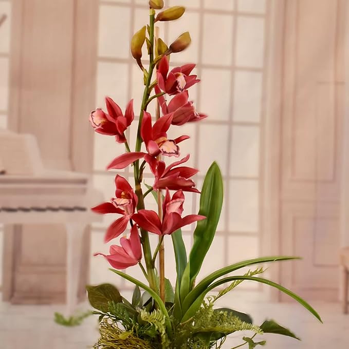 CHUXAY GARDEN Rare Red Cymbidium Orchid Seed 100 Seeds Ornamental Flowering Plant Houseplant Greenhouse Conservatory Plants Extremely Decorative