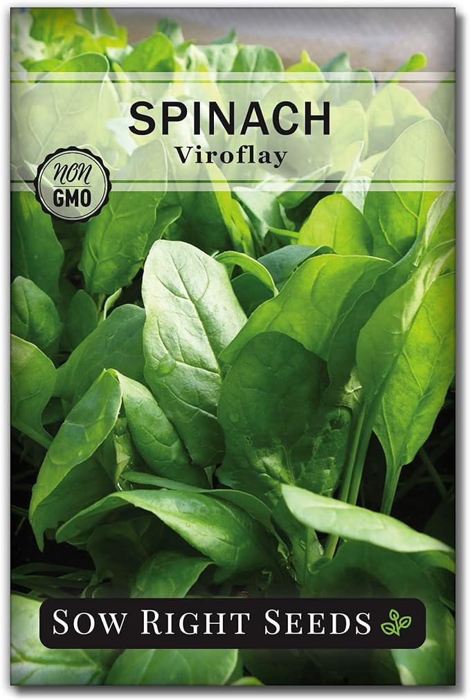 Sow Right Seeds - Viroflay Spinach Seed for Planting - Non-GMO Heirloom Packet with Instructions to Plant a Vegetable Garden - Grow Leafy Green Nutritious Superfood - Hydroponic Growing Friendly (1)