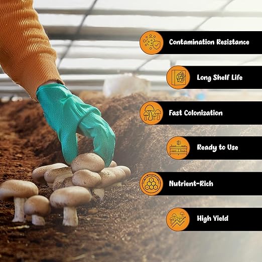 Tortoise Dung Substrate DinoSoil - Coir Blend with Coffee, Vermiculite, Gypsum, Earthworm Castings for Fast Colonization & Mushroom Growth (3lb)