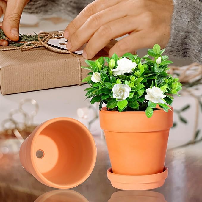 3 Inch Terracotta Pots with Saucer-20 Pack Succulent Cactus Plant Pots with Drainage Hole, Great for Plants Garden Windowsill Indoor & Outdoor Wedding Favors Gifts