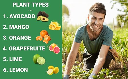 6-4-6 Avocado & Citrus Tree Fertilizer for Indoor Plants & Outdoor Plants | Quick-Release Nitrogen Fertilizer : Orange, Lime, Avocado & Lemon Tree Fertilizer - Citrus Fertilizer (3 Quarts)