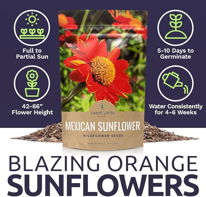 Mexican Sunflower Seeds – Bulk Quarter Pound Bag – Over 10,000 Open Pollinated Non-GMO Wildflower Seeds – Tithonia rotundifolia