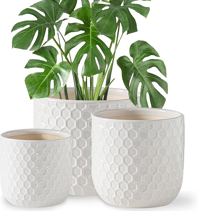 Docrin Ceramic Plant Pots Indoor: 6.5+5.3+4 Inch Planters with Drainage Holes for Home/Office - Set of 3 / White Honeycomb