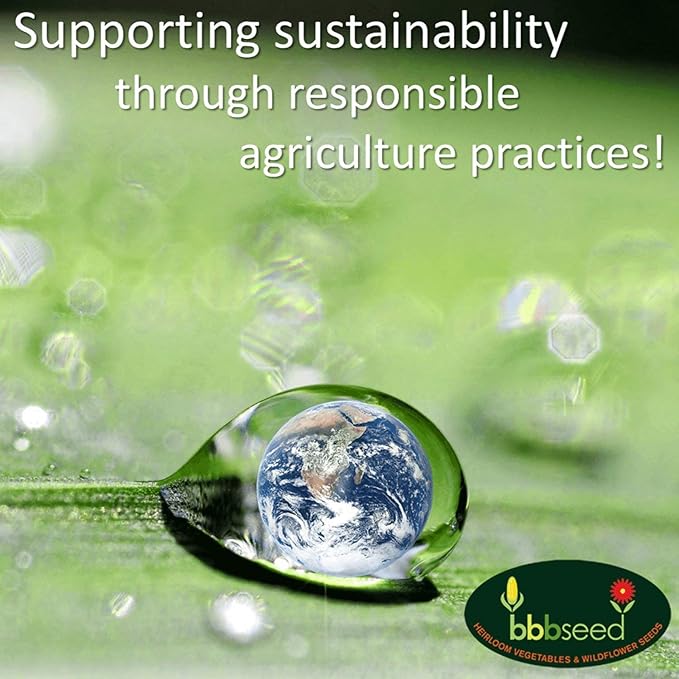 Parade of Poppy Wildflower Seeds - 1oz, Open-Pollinated Wildflower Seed Mix Packets, No Fillers, Annual, Perennial Wildflower Seeds, Year Round Planting - 1 oz