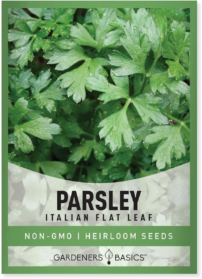 Gardeners Basics, Parsley Seeds for Planting, Italian Flat Leaf is A Heirloom, Open-Pollinated, Non-GMO Herb Variety- Great for Indoor and Outdoor Gardening and Herbal Tea Gardens