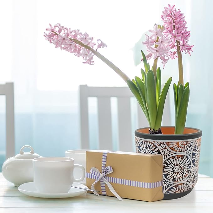 DeeCoo 3 Piece Ceramic Plant pots for Indoor with Drainage Holes, 5.7/4.7/3.5/inch, Modern Decorative Flower pots Outdoor Plants Lilies, Cacti, Succulents, Snakes, and Bamboo (Gray)