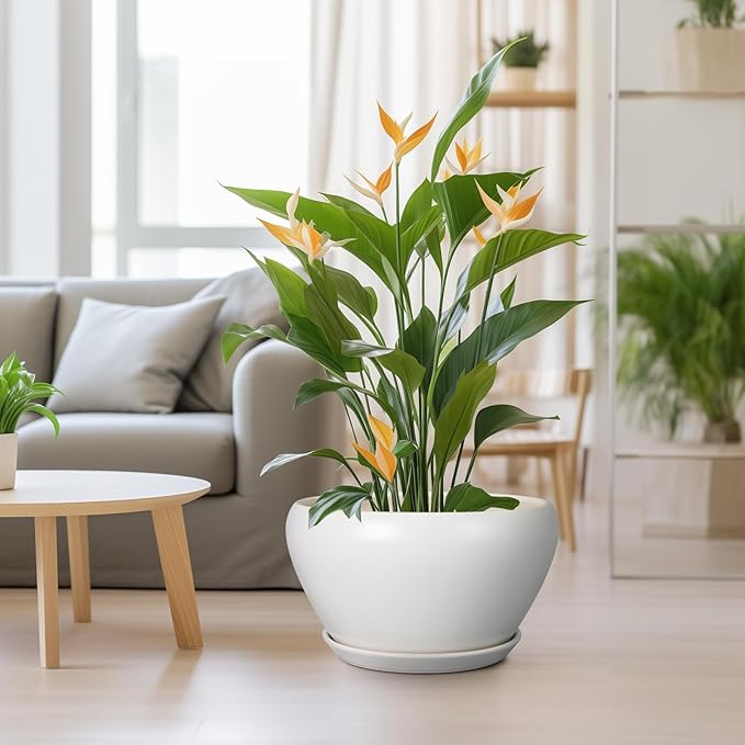 Planter for Indoor Plants 13 Inch - Ceramic Plant Pot with Drainage Hole and Saucer Decorative Round Large Planter Pot for Plants Outdoor Flower Pot for Room Decor White