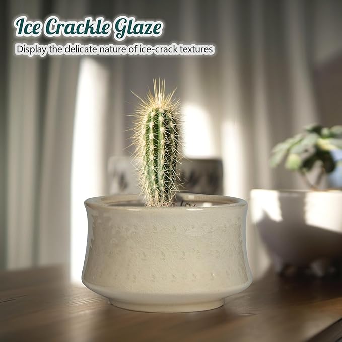 FFPOPU 3-Packs Ceramic Bonsai Pots with Drainage Tray, 6-inch Cute Bonsai Tree Pot with Ice Cracked Glaze, Small Bonsai Planter Pot for Desktop Decoration