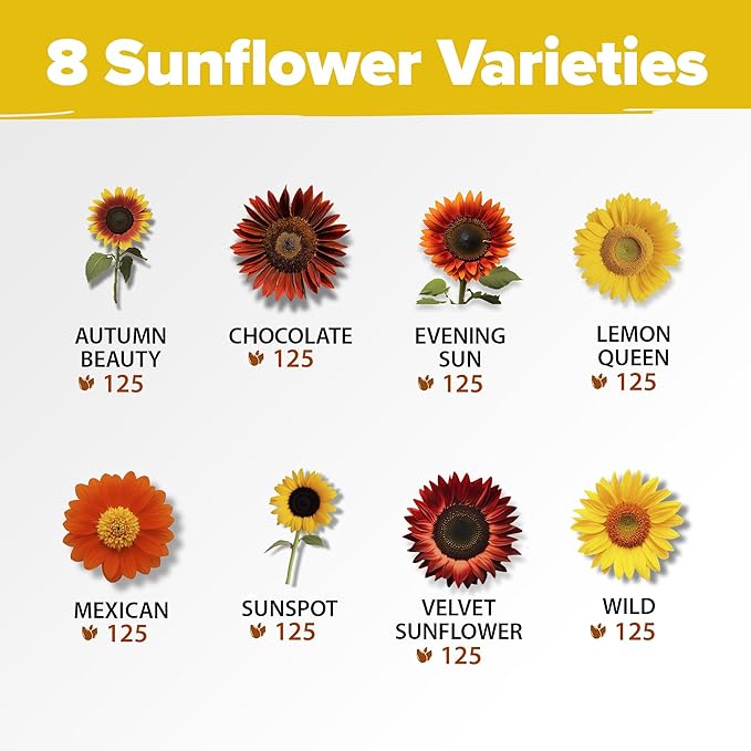 HOME GROWN Sunflower Seeds for Planting (8 Unique Varieties) 1000+ Sun Flower Seeds to Plant - Grow Dwarf Sunflowers, Mexican Sunflowers, Wild, Lemon Queen, Autumn Beauty, Sunspot, Velvet Queen