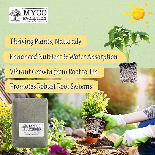 Mycorrhizae Root Fungi Endo Granular Mycorrhizal 134 Spores Mycos Myko (2lb)