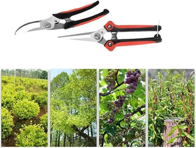 Garden Pruning Shears, Hand Pruner Scissor Tree Trimmers Secateurs Potted Cutters Snips Branch Plant Hedge Clippers Gardening Tool Stainless Steel Blades for Home Loppers Flower Bonsai Trimming