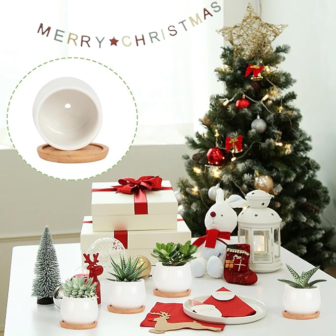 Succulent Pots, White Mini 2.5 inch Ceramic Flower Planter Pot with Bamboo Tray, Pack of 12 - Plants Not Included