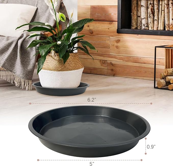 6 Pack Plant Saucer 4 6 8 10 12 14 16 18 20 22 Inch Plastic Plant Tray, Sturdy and Durable Flower Pot Container Accessories Plant Pot Saucers for Indoor and Outdoor (6 Inch, Gray)